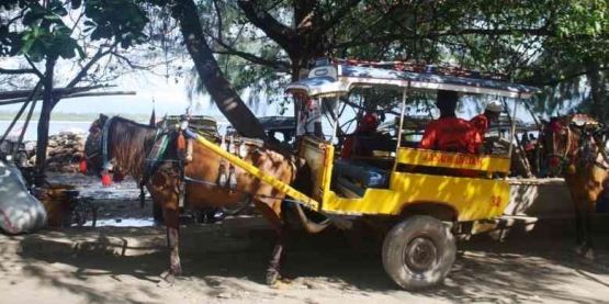  Cidomo di Gili Trawangan, NTB. masih bertahan sebagau alat transportasi.  (KOMPAS.com/Ni Luh Made Pertiwi F.)