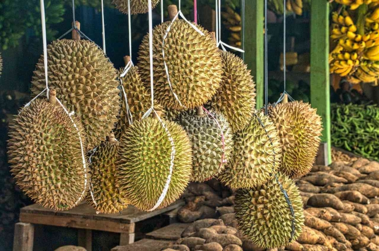 Foto durian bergelantungan oleh Tom Fisk dari Pexels