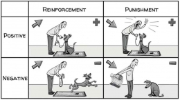 Skinner’s Operant Conditioning: Rewards & Punishments – Sprouts – Learning Videos – Social Sciences (sproutsschools.com) 