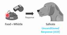 Social cognitive theory Learning - Learning Choices (learningschoices.blogspot.com) 