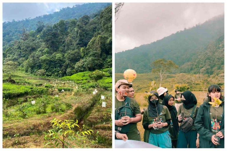 Pelestarian pohon rasamala dan pohon puspa. (Foto : Paru Ramadhan dan Ariz Shubahtiar) 