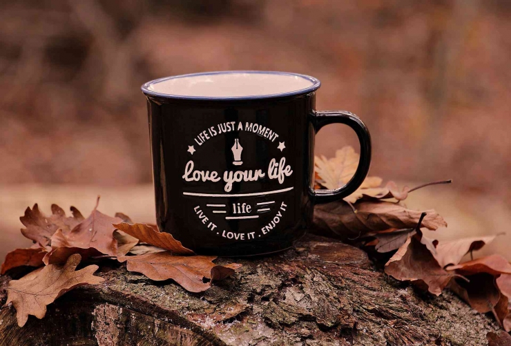 Love your life - Cintai hidupmu (pixabay.com)