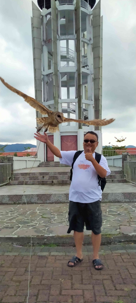 Burung hantu atau burung manguni memiliki arti khusus bagi orang Minahasa (dokpri)