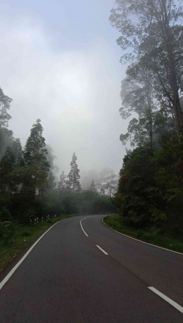Jalur mulus menuju Tawangmangu dengan kabut tipis (Dokumentasi Pribadi)