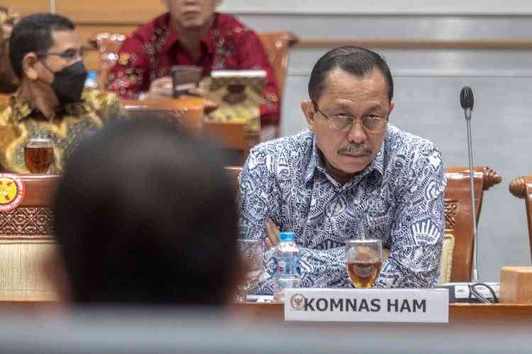 Ilustrasi gambar Ketua Komnas HAM Ahmad Taufan Damanik saat RDP DPR | Dokumen foto via Kompas.com