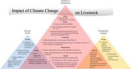Dampak Perubahan Iklim Global terhadap Peternakan, Gambar: unfccc.int/Rojas-Downing, dkk.