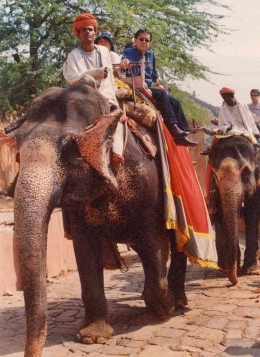 Kenangan naik gajah di Amber Fort, Jaipur-India. Lokasi awal Indiana Jones. Sumber: dokumentasi pribadi