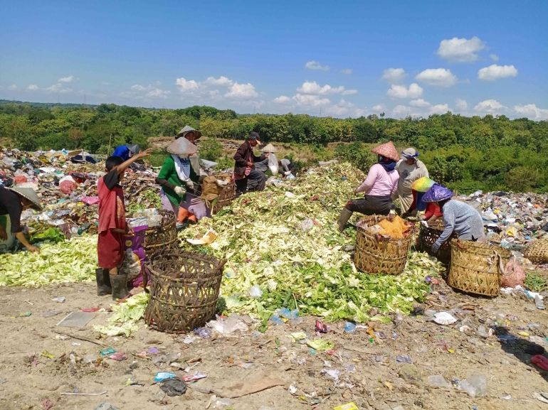 Sampah organik sisa sayur ini jangan dibuang di TPA, tapi diolah menjadi pupuk organik. (Sumber: DokPri)