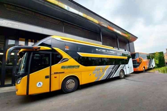 Bus Handoyo. Foto: Instagram @indotrans_