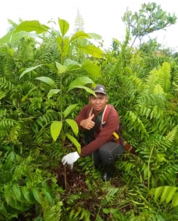 Samsidar (Ketua LDPHD Banjar Lestari saat melakukan penanaman pohon di lokasi Hutan Desa. (Foto dok : Samsidar).  