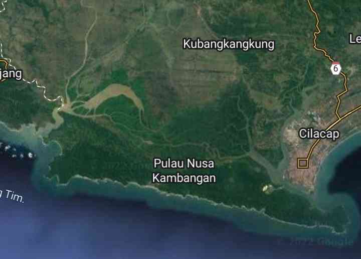 Citra satelit Segara Anakan dan Pulau Nusa Kambangan (google maps) 