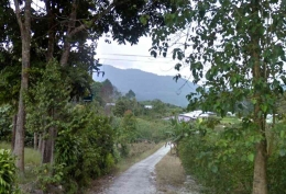 Tampakan rumah-rumah di Kampung Panatapan dari pangkal jalan masuk (dulu tanah kini aspal). Pegunungan di latar belakang adalah hutan Sibatuloting, tempat sumber air untuk Panatapan (Google Map)