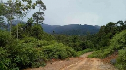 Jalan menuju kampung K saat bertugas (Foto Istimewa/RIDUANNOR | Dokumen pribadi