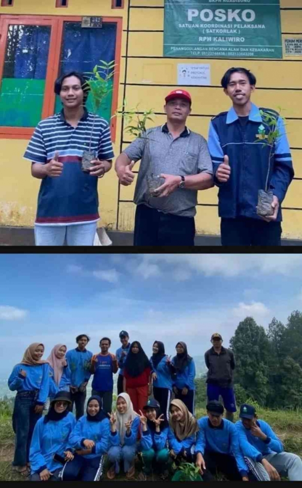 Mahasiswa KKN MMK Kelompok 37 tanam pohon di sepanjang Bukit Si Kunci Desa Pulosaren. Dokpri 