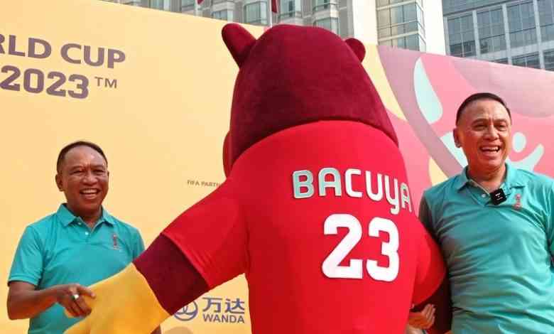 Bacuya 23, Mengenal Badak Bercula Satu Yang Menjadi Maskot Piala Dunia ...