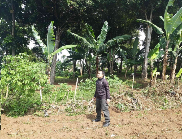 Kebun Nenek di Pameungpeuk (Dokpri)