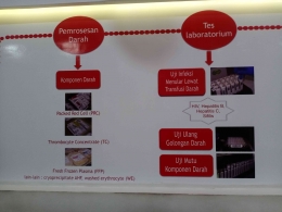 Proses pengelolaan darah di PMI Jakarta Pusat, (19/9/22). Sumber: DokPri