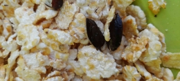 Kenari kupas dicampurkan ke dalam jagung titi. Makanan khas NTT yang dapat dijadikan oleh-oleh| Dokumentasi pribadi