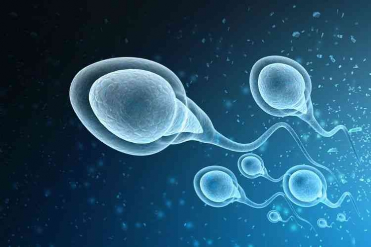 Ilustrasi Sperma I Sumber Gambar: www.kompas.com/sains/read/2022/08/26/080200923/