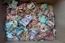 Uang tabungan puluhan juta rupiah milik Samin yang ditabung di celengan habis dimakan rayap, Selasa (13/9/2022).(KOMPAS.com/LABIB ZAMANI)
