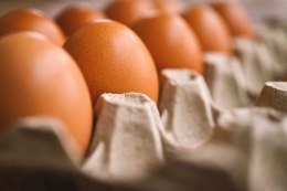 Telur mengurangi risiko penyakit Alzheimer's. (Erika Varga/Pixabay)