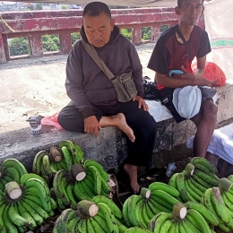 PKL berjualan pisang hijau lumut (dokumen pribadi)