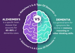 Mengenal perbedaan demensia dan Alzheimer | sumber foto: alz.org
