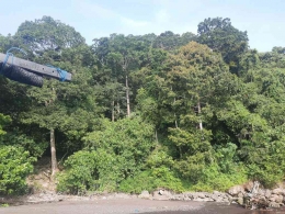 Hutan alam di kawasan Gunung Watangan| Dokumentasi pribadi penulis