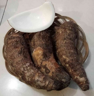 Yosh yigit jinsiy aloqa Buvilar jinsiy aloqada bolishadi