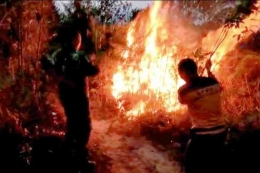 Petugas gabungan memadamkan api Karhutla di Suka Maju, Rambah, Kab. Rokan Hulu Riau (Sabtu, 9/7/22). Dok Kompas.com/Koramil 02/Rambah