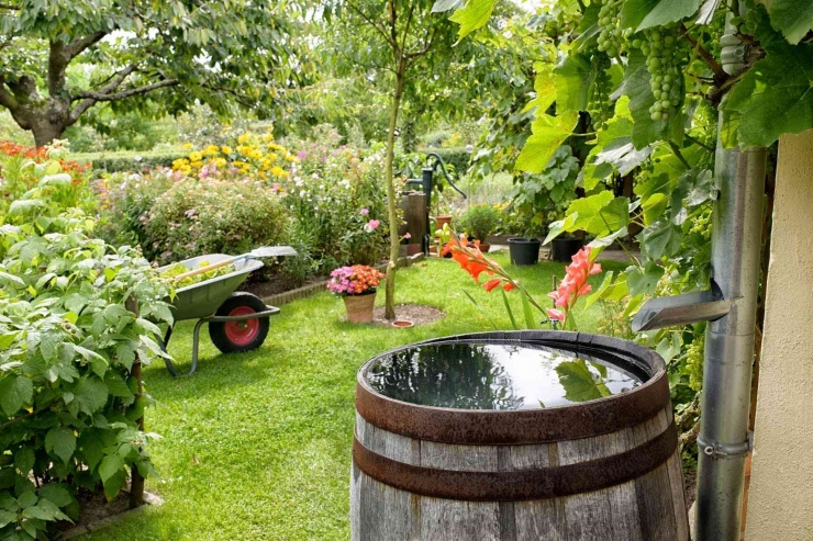 Niederschlagswasser-Gebuehr, di Jerman ada biaya air hujan | foto: mein-schoener-garten.de/ Schulzie—