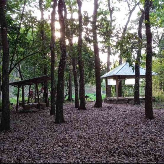 Lokasi hutan yang ada Sendangnya (dokpri by IYeeS) 