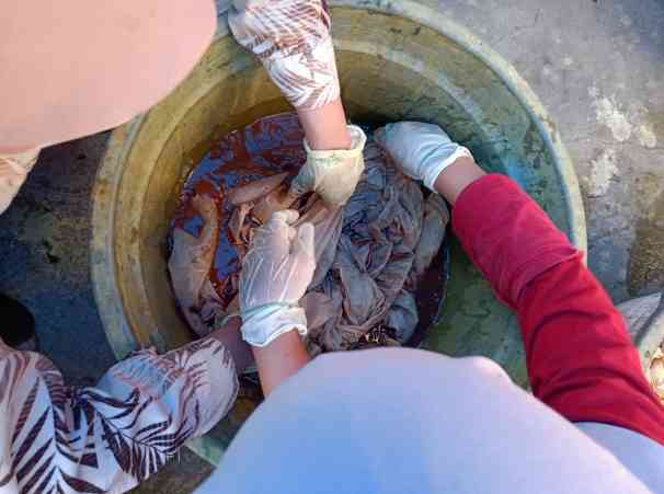 Proses simultaneous-mordanting kain batik dengan bio-mordant daun ketapang (dokpri)