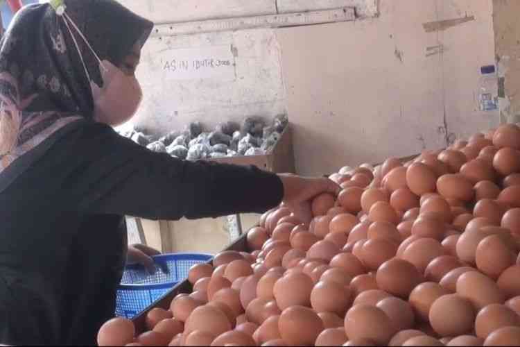 Telur ikut-ikutan naik. Seorang ibu memilih telur di pasar tradisional Cisalak, Cimanggis, Depok. Dok Kompas/M Chairul Halim