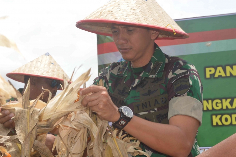 Dok Makodim 0205/Tanah Karo 28092022 Panen Raya Jagung di Lausolu