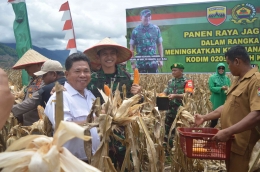 Dok Makodim 0205/Tanah Karo 28092022 Panen Raya Jagung di Lausolu