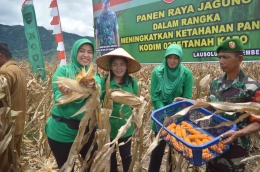 Dok Makodim 0205/Tanah Karo 28092022 Panen Raya Jagung di Lausolu