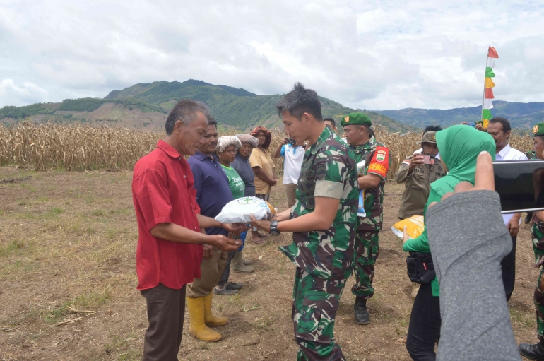 Dok Makodim 0205/Tanah Karo 28092022 Panen Raya Jagung di Lausolu