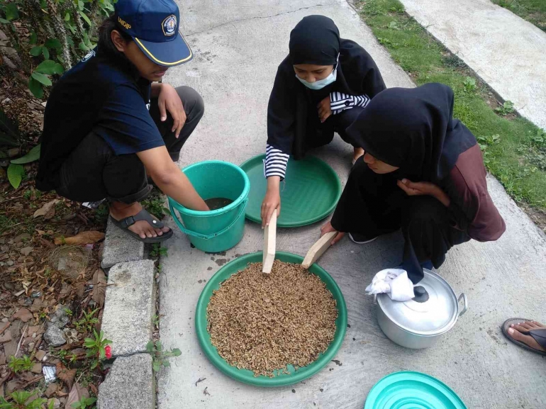 Pembuatan maggot kering untuk pakan ternak. Foto : Indah Dwiyanisa