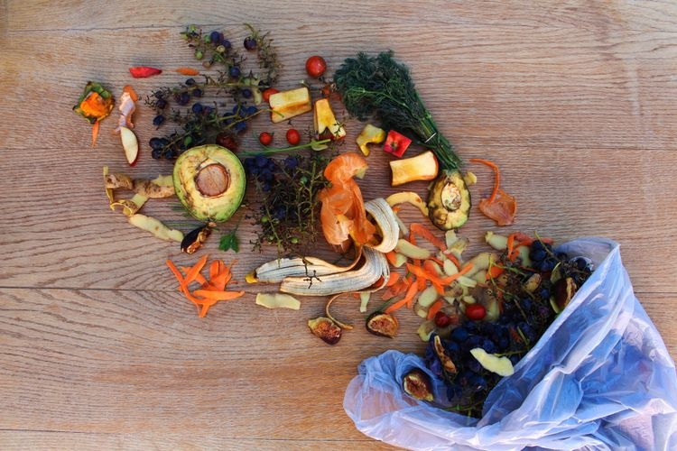 Ilustrasi limbah makanan yang dapat didaur ulang.(SHUTTERSTOCK/VICTORIA1 via kompas.com)