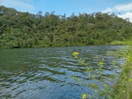 Salah satu sudut danau Lau Kawar yang berbatasan dengan kawasan hutan lindung (Dok. Pribadi)