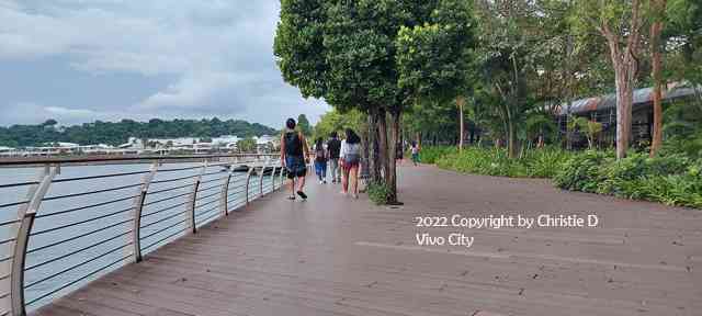 Dokumentasi pribadi. Dermaga pedestrian full, sebuah jembatan yang menghubungkan Sentosa Island dengan daratan Singapore lewat Vivo City .....