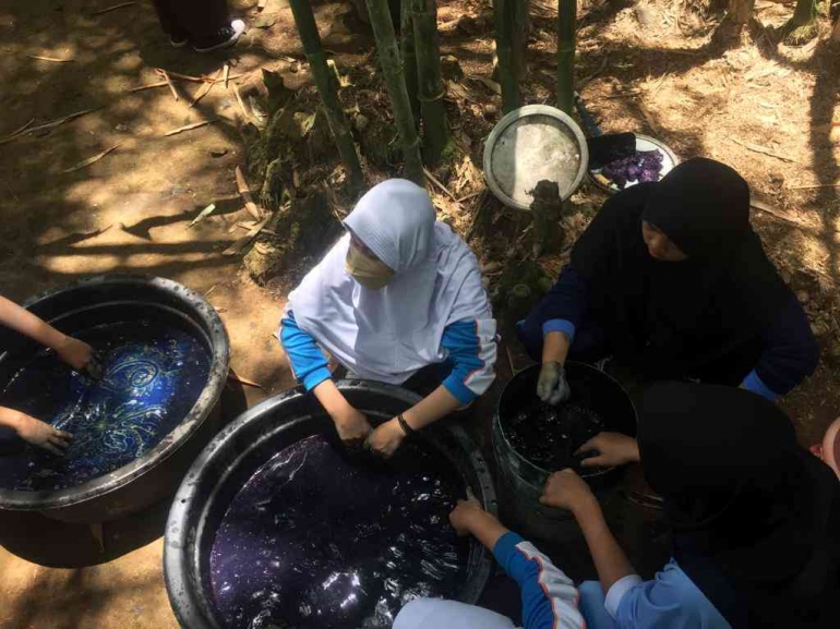 Memperkenalkan cara membatik dengan pewarnaan alam, tanaman Strobilanthes  Cusia  (dokpri)