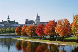 Fall in Montreal | foto: commons.wikimedia.org/ AnnaKucsma—
