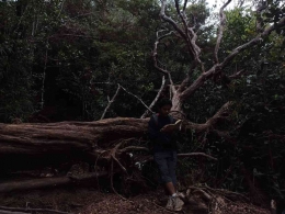 Foto penulis sedang membaca puisi di hutan Gunung Sibuatan (Dok.pribadi)