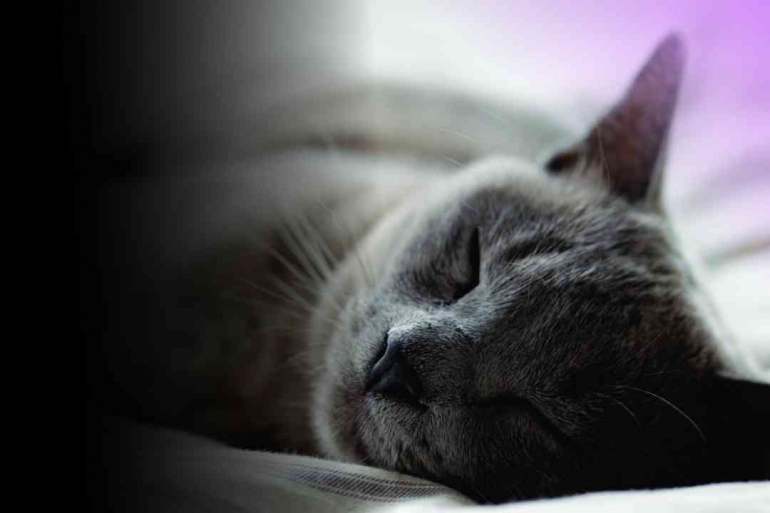 berwudhu sebelum tidur  (Sumber: Pixabay)