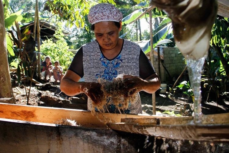 Yahulin (54), warga Kampung Karatung satu, Manganitu, Kabupaten Kepulauan Sangihe sedang mencuci pati pohon sagu untuk dijadikan tepung sagu.(KOMPAS.com/Ronny Adolof Buol)