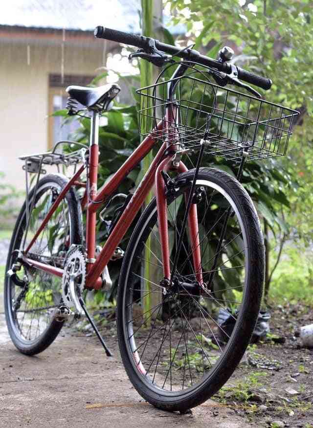 A Pro city bike / dok. pribadi