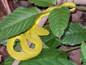 Xotinning orgazm pornosini tomosha qiling Oriq gozallar aks etgan porno videolar toplami