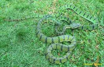 Uxlayotgan opa bilan jinsiy aloqa porno video Haqiqiy hayotdagi keksa jinsiy aloqani onlayn tomosha qiling